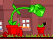 Go Go Plant