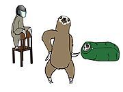 Harlem Sloth