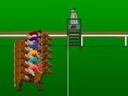 Horse Racing Steeplechase