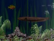 Play IAFish Game IAFish