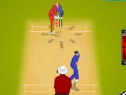 Ipl Cricket Ultimate