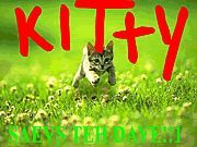 KITTY SAEVS TEH DAY