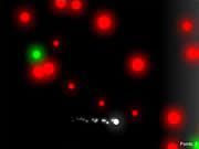 Lights