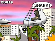 Miami Shark