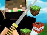 Minecraft Ninja