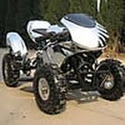 mini ATV GS platinum