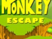 Monkey Escape