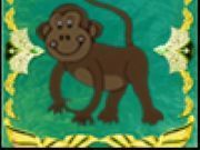 Monkey frame