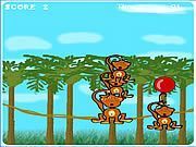 Monkeys