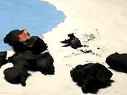 Play Movement Game Movement