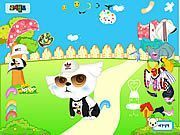 My Cute Pet Dressup