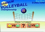 Namnum Volleyball II