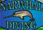 Narwhal Diving