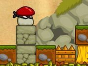 Ninja Mushroom