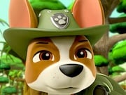 Paw Patrol Jungle Rescue