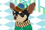 Pet Dress Up 11