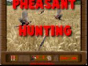 Pheasant Hunting