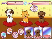 Puppies Salon