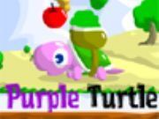 purple turtle