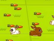 Rabbit Tycoon