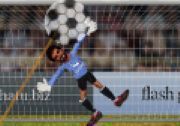 Ragdoll Goalkeeper