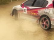 rally car game