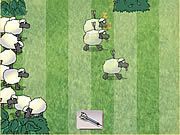 Sheep Dash