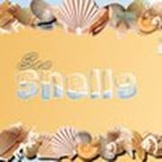 Shells