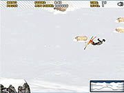 Ski Sim