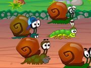 Snail Race