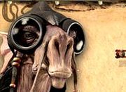 Play Star Wars Racer Rush Game Play Star Wars Racer Rush Game