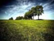 Stunning Nature Puzzles