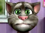 Talking Tom Cat