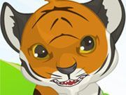 Tame Big Cat Dress Up