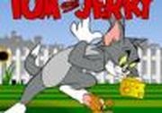 Tom and Jerry