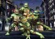 Turtle Ninja Fighting in the Street